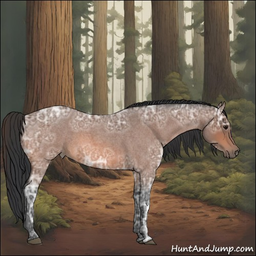 Horse Color:Bay Ice Roan Sabino 