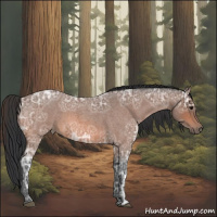 Horse Color:Bay Ice Roan Sabino 