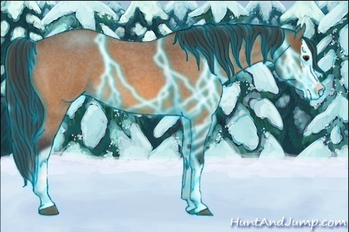 Horse Color:Thunderstruck Buckskin Roan Sabino Splash 