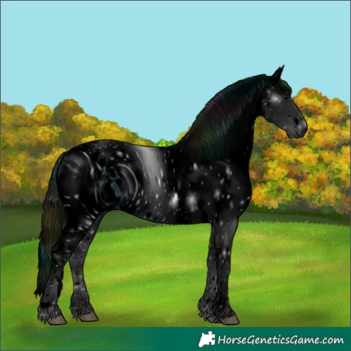 Horse Color:ERROR: UNKNOWN ANOMALY