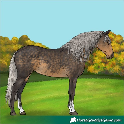 Horse Color:Silver Smoky Black Sabino 