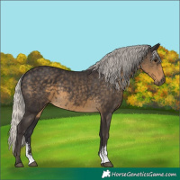 Horse Color:Silver Smoky Black Sabino 
