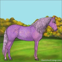 Horse Color:Watercolor Silver Black 