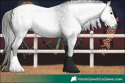 Horse Color:Gray Black 