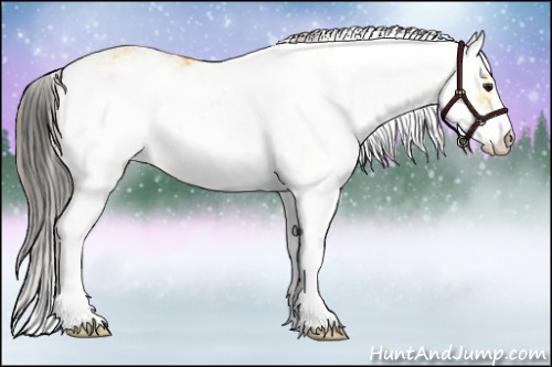 Horse Color:Buckskin Sabino 