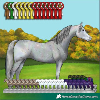 Horse Color:ERROR: UNKNOWN ANOMALY