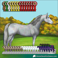 Horse Color:ERROR: UNKNOWN ANOMALY