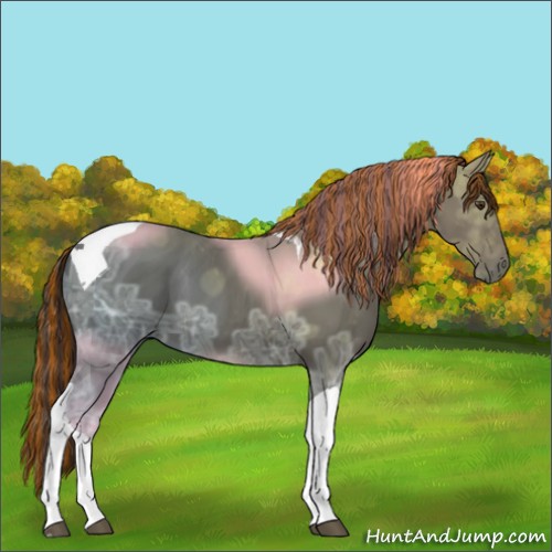 Horse Color:Painted Liver Chestnut Ice Tobiano