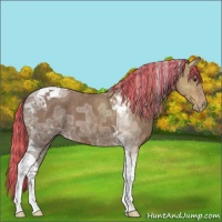 Horse Color:Painted Chestnut Ice Tobiano 