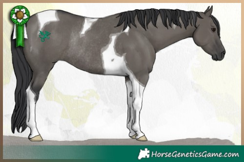 Horse Color:Grullo Tobiano Rabicano