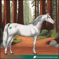 Horse Color:Silver Brown Roan Dun Tobiano Varnish 