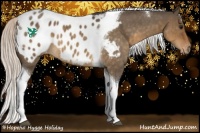 Horse Color:Silver Buckskin Roan Dun Tobiano Appaloosa 