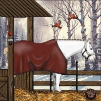 Horse Color:Gray Chestnut 