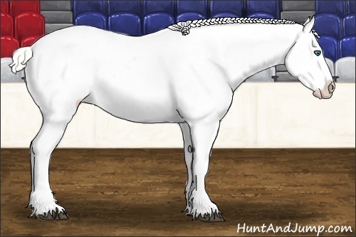 Horse Color:Silver Bay Splash Appaloosa 