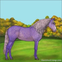 Horse Color:Watercolor Chocolate Palomino Roan 