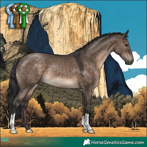 Horse Color:Brown Dun 
