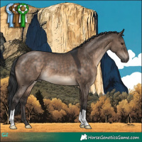 Horse Color:Brown Dun 
