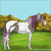 Horse Color:Painted Liver Chestnut Ice Tobiano Frame 