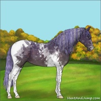 Horse Color:Painted Silver Brown Tobiano 