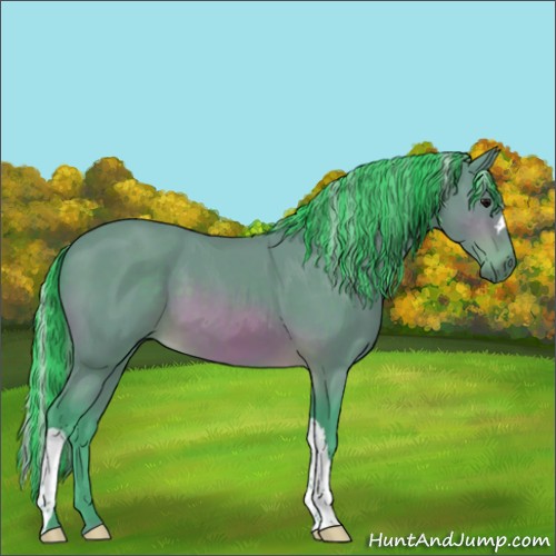 Horse Color:Painted Watercolor Silver Brown