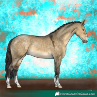 Horse Color:Buckskin Dun 