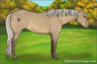 Horse Color:Silver Buckskin Dun 
