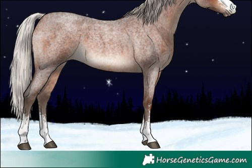 Horse Color:Silver Brown Roan Sabino