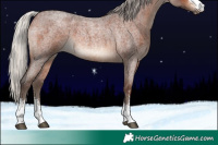 Horse Color:Silver Brown Roan Sabino