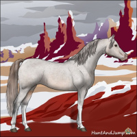 Horse Color:Brown Dun Tobiano Varnish Rabicano 