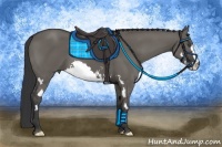 Horse Color:Grullo Sabino Splash Frame