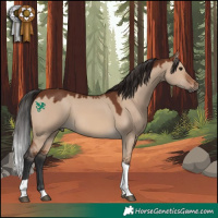 Horse Color:Brown Dun Tobiano 