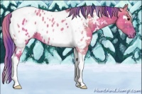 Horse Color:Watercolor Plaid  White Spotted Grullo Tobiano Appaloosa 