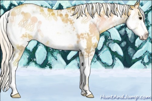 Horse Color:Watercolor Silver Blue Onyx Pearl Sabino 