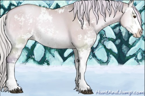 Horse Color:Watercolor Silver Bay Pearl Onyx Sabino 