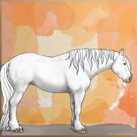 Horse Color:Gray White Spotted Silver Classic Champagne Tobiano 