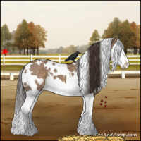 Horse Color:White Spotted Liver Red Dun Splash