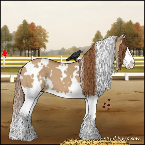 Horse Color:White Spotted Red Dun Splash 