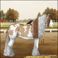 Horse Color:White Spotted Red Dun Splash 