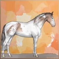 Horse Color:White Spotted Sable Champagne Mushroom Tobiano Rabicano