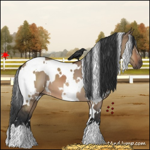 Horse Color:White Spotted Brown Dun 