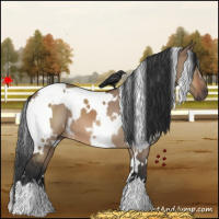 Horse Color:White Spotted Brown Dun