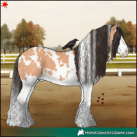 Horse Color:White Spotted Bay Dun Splash 