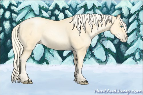 Horse Color:Palomino Pearl 