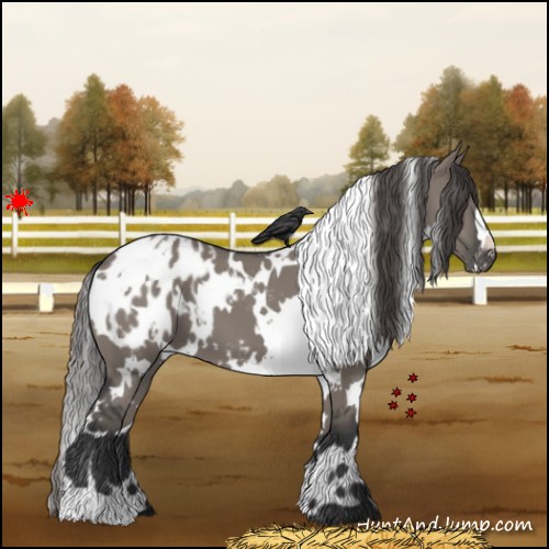 Horse Color:White Spotted Grullo Appaloosa 