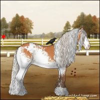 Horse Color:White Spotted Silver Bay Varnish Rabicano 