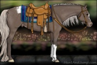 Horse Color:Silver Black Appaloosa 
