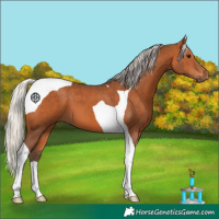 Horse Color:Silver Bay Tobiano 