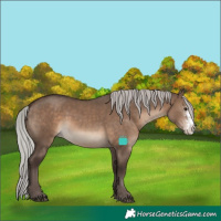 Horse Color:Silver Brown Dun Sabino 