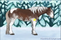 Horse Color:White Spotted Silver Brown Tobiano Appaloosa 