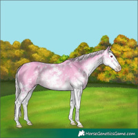 Horse Color:Watercolor Silver Black Chinchilla Sabino Splash 